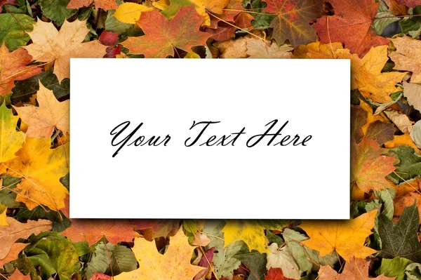 Autumn background — Stock Photo, Image