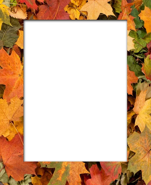 Autumn background — Stock Photo, Image