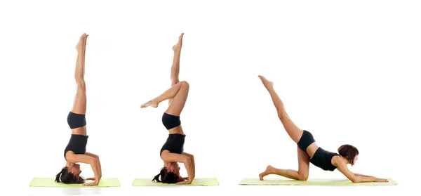 Mujeres jóvenes y en forma en los procedimientos de entrenamiento — Foto de Stock