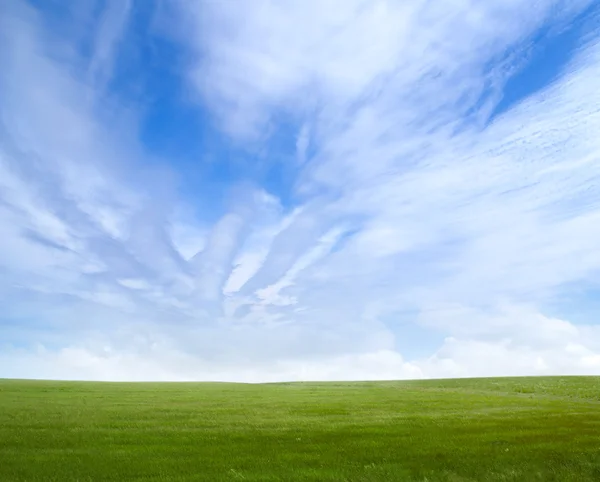 Grüne Wiese — Stockfoto