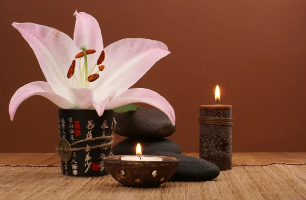 Oriental spa set over dark background — Stock Photo, Image