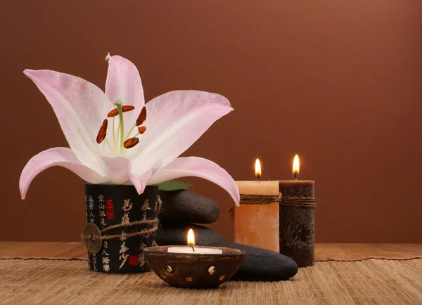 Japanese spa composition over dark background — Stock Photo, Image