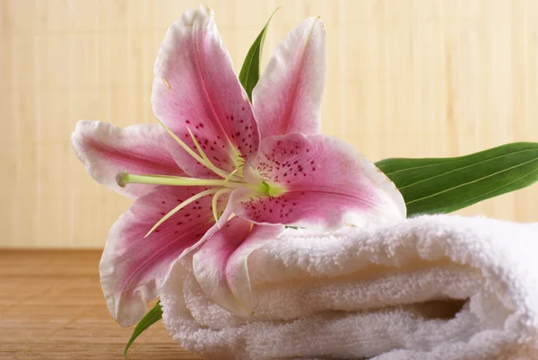 Spa background — Stock Photo, Image