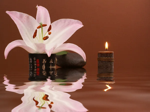 Oriental spa conjunto sobre fondo oscuro — Foto de Stock