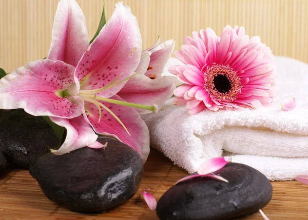 Natural spa compositiona — Stock Photo, Image