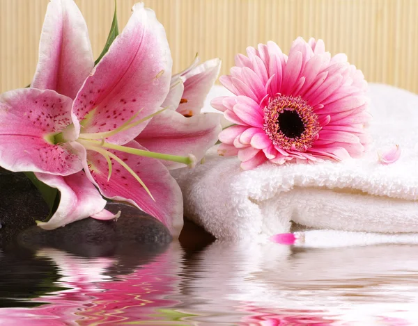 Compositiona spa natural — Foto de Stock