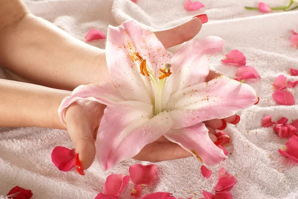 Hands over towel — Stock Photo, Image