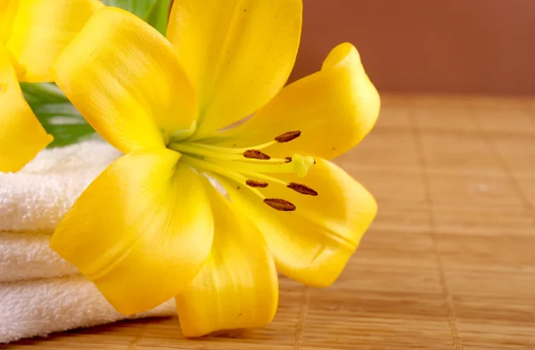 Gelbe Lilienblüten — Stockfoto