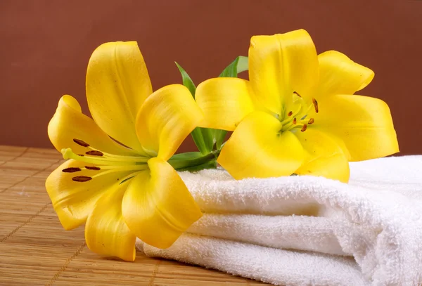 Yellow lily flowers Royalty Free Stock Images