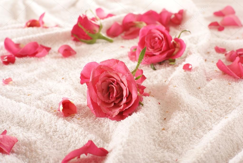 Roses over towel