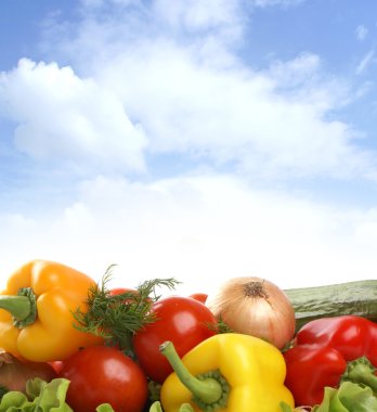 beyaz izole lezzetli taze sebze