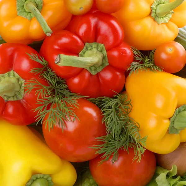 Verduras frescas y sabrosas — Foto de Stock