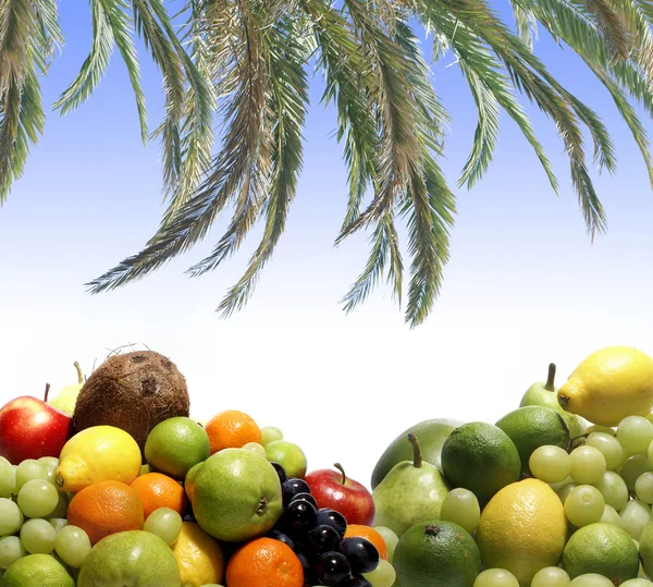 Beyaz üzerine ayrılmış meyveler