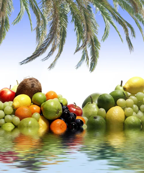 Frutas isoladas a branco — Fotografia de Stock