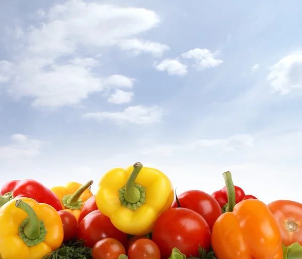 Verduras frescas y sabrosas — Foto de Stock