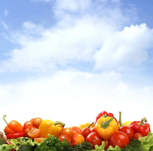 Fresh tasty vegetables isolated on white — Stock Photo, Image