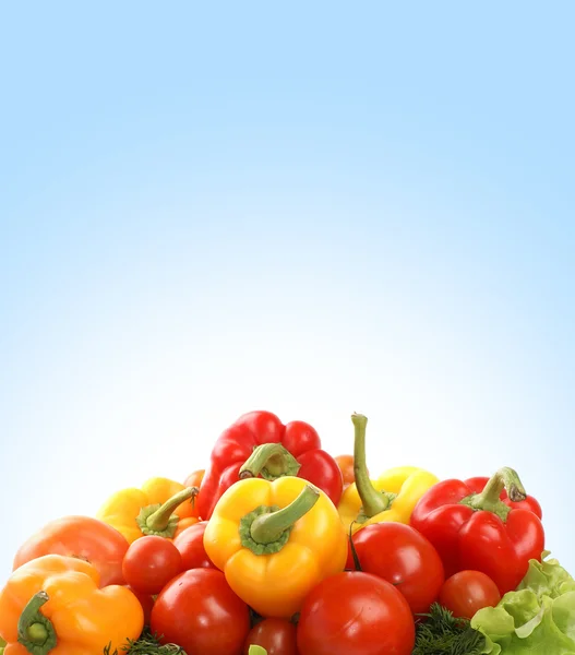 Vegetables — Stock Photo, Image