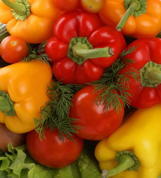 Fresh tasty vegetables Royalty Free Stock Photos