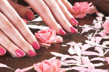 çiçek ve yaprakları spa tarzı ile güzel eller