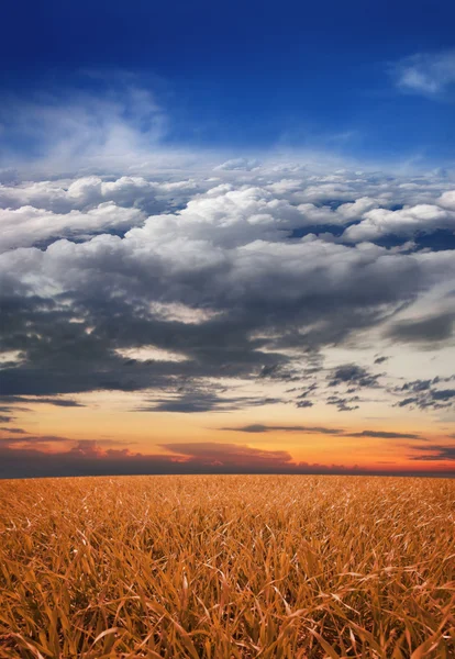 Collage: pradera, puesta del sol, cielo, nubes, estratosfera y espacio en una sola imagen — Foto de Stock