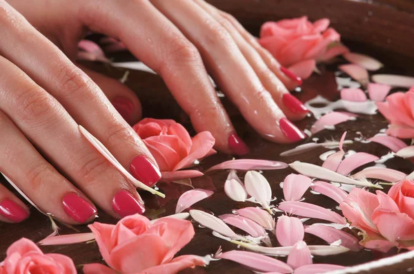 Belas mãos femininas com flores e pétalas em estilo spa — Fotografia de Stock