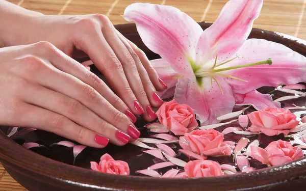 Belas mãos femininas com flores e pétalas em estilo spa — Fotografia de Stock