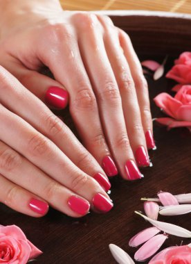 çiçek ve yaprakları güzel eller