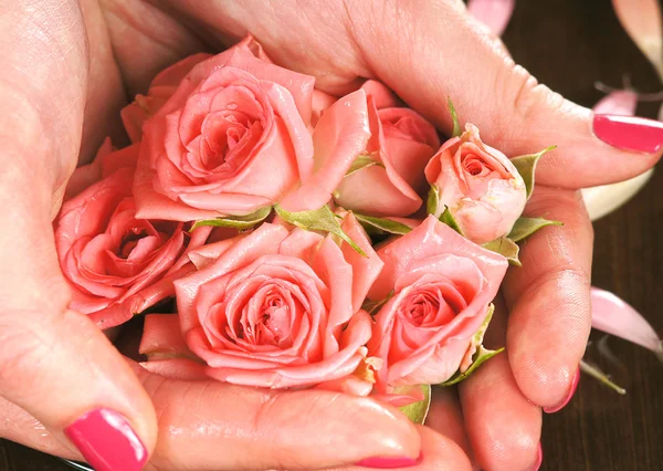 Mooie vrouwelijke handen met bloemen en bloemblaadjes — Stockfoto