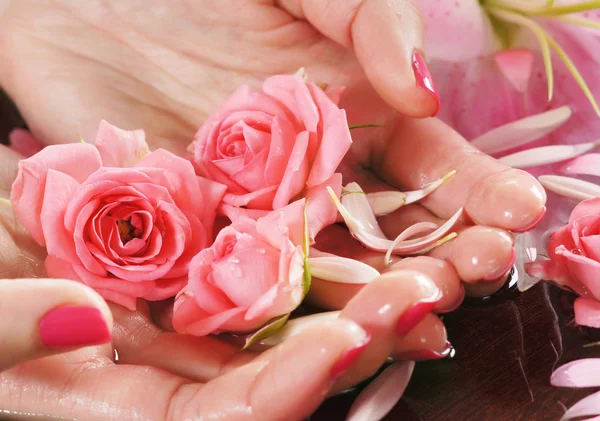 Belle mani femminili con fiori e petali — Foto Stock