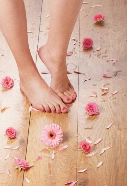 Σέξι γυναικεία πόδια και πολλές διαφορετικές πέταλα και λουλούδια — Φωτογραφία Αρχείου