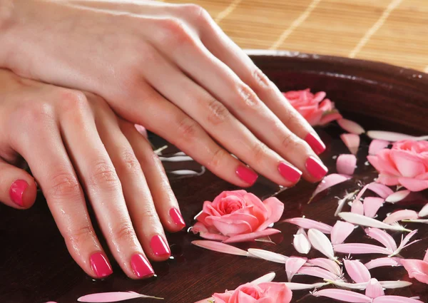 Hermosas manos femeninas con flores y pétalos — Foto de Stock