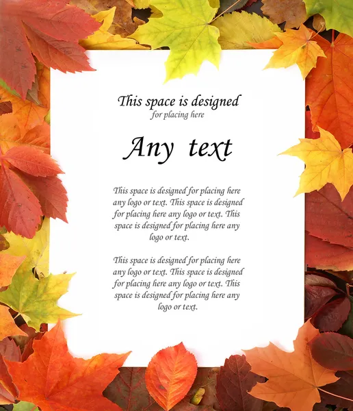 Colorful autumn frame — Stockfoto