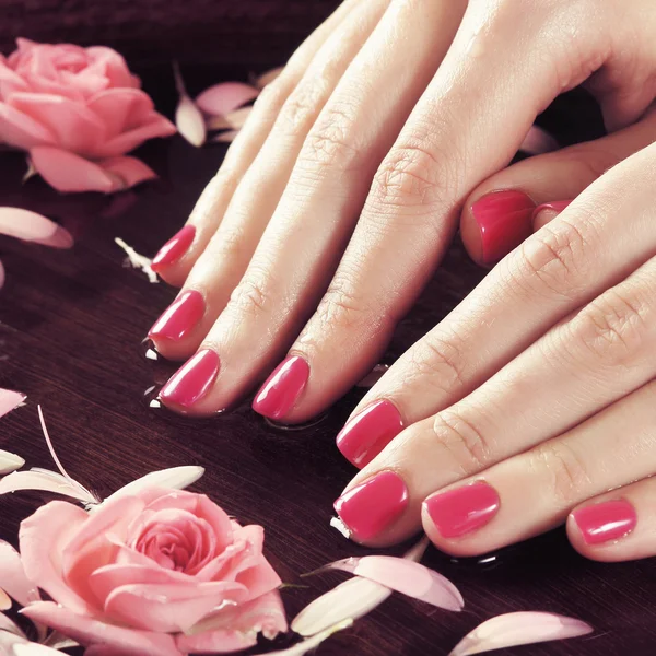Hermosas manos femeninas con flores y pétalos en estilo spa Fotos De Stock