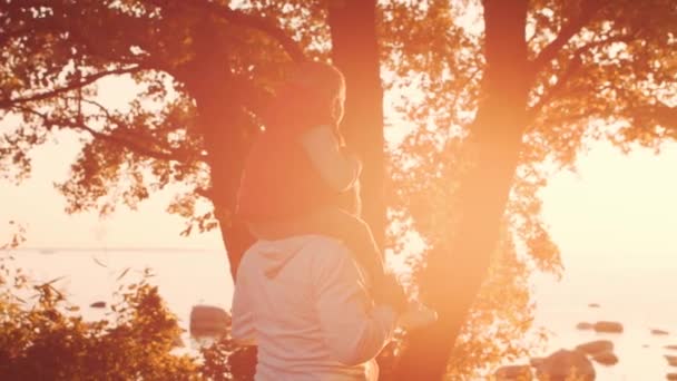 Liebevolle Familienspaziergänge in der Natur während des Sonnenuntergangs. Papa spielt mit seinem Sohn. Das Konzept der Liebe, der elterlichen Sorge und der Kinder. — Stockvideo