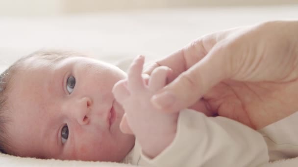 Close-up portrait of a young baby who has recently been born. Newborn infant boy at home. Window light. — Stock Video