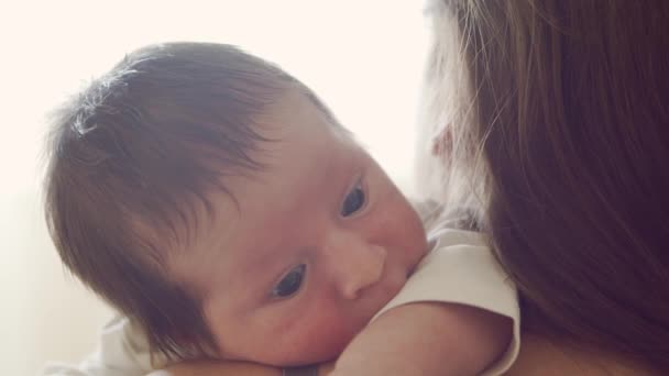 Newborn baby boy and his mother at home. Close-up portrait of the infant who has recently been born. Window light. — Stock Video