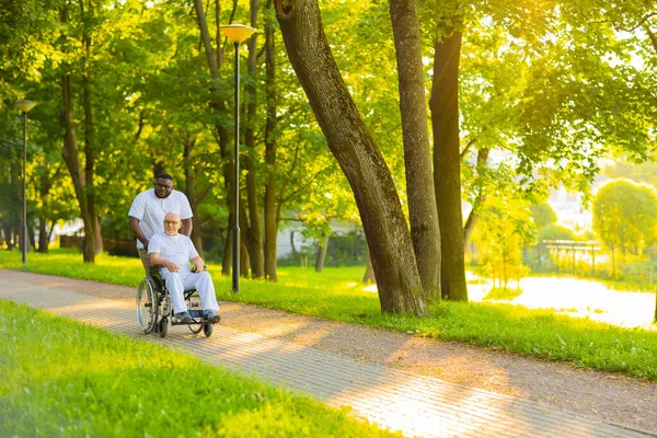 Verzorger en oude man in een rolstoel. Professionele verpleegkundige en patiënt wandelen buiten in het park bij zonsondergang. Bijstand, rehabilitatie en gezondheidszorg. — Stockfoto