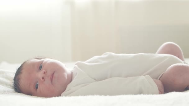 Close-up portrait of a young baby who has recently been born. Newborn infant boy at home. Window light. — Stock Video