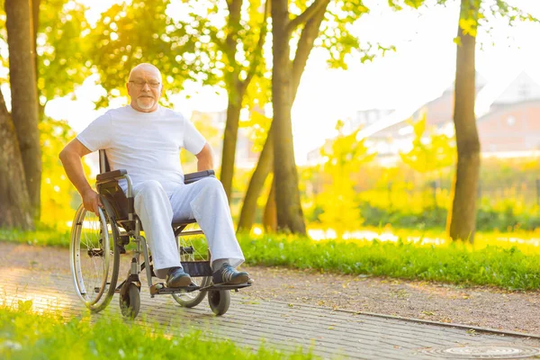 Cuidador y anciano en silla de ruedas. Enfermera profesional y paciente caminando al aire libre en el parque al atardecer. Asistencia, rehabilitación y asistencia sanitaria. Fotos De Stock