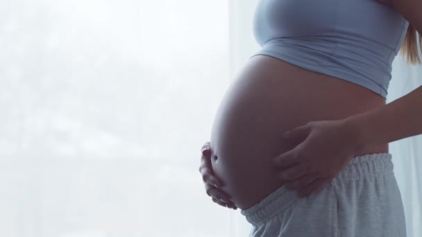 Mujer embarazada joven está descansando en casa y esperando un bebé. El concepto de embarazo, maternidad, salud y estilo de vida. — Vídeo de stock