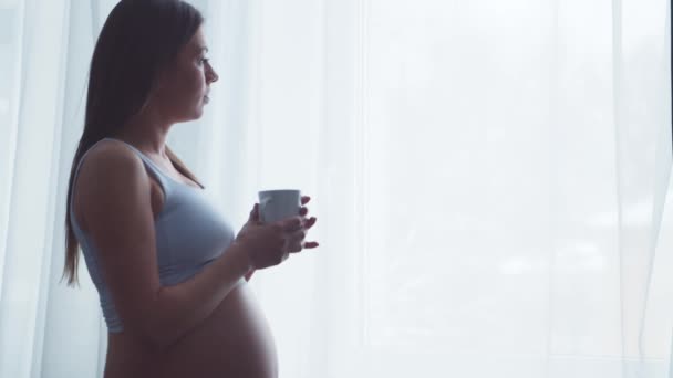 Νεαρή έγκυος γυναίκα ξεκουράζεται στο σπίτι και περιμένει ένα μωρό. Η έννοια της εγκυμοσύνης, της μητρότητας, της υγείας και του τρόπου ζωής. — Αρχείο Βίντεο