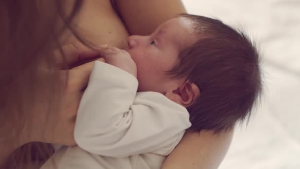 Mom breastfeeds a nursing baby. Close-up portrait of the infant and his mother. Window light. — Stock Video