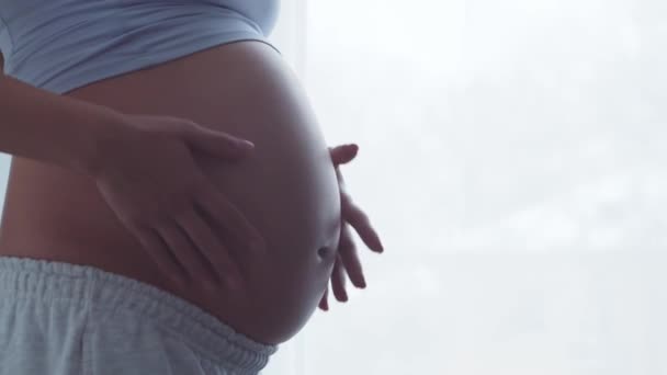 임신 한 젊은 여자 가집에서 쉬면서 아기를 낳는다. 임신, 어머니가 되는 것, 건강 과 생활 방식의 개념. — 비디오