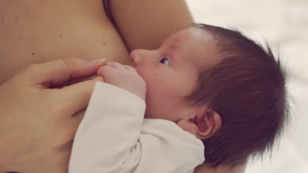 Mutter stillt ein stillendes Baby. Nahaufnahme Porträt des Säuglings und seiner Mutter. Fensterlicht. — Stockvideo