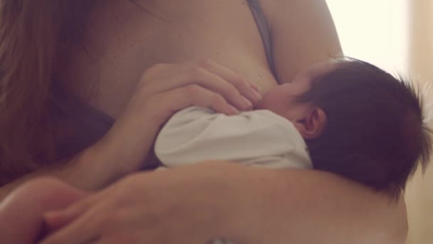 Ibu menyusui bayi menyusui. Foto close-up bayi dan ibunya. Lampu jendela. — Stok Video