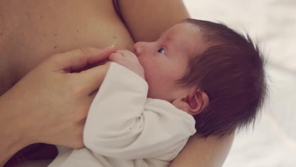 Mutter stillt ein stillendes Baby. Nahaufnahme Porträt des Säuglings und seiner Mutter. Fensterlicht. — Stockvideo