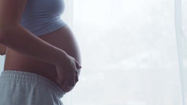 Genç hamile kadın evde dinleniyor ve bebek bekliyor. Hamilelik, annelik, sağlık ve yaşam tarzı kavramı.