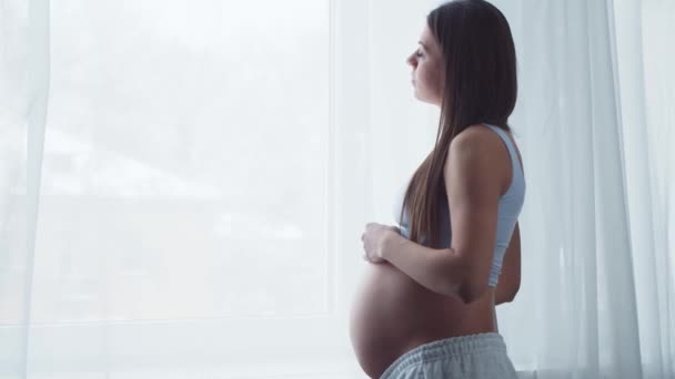 La giovane donna incinta sta riposando a casa e aspetta un bambino. Il concetto di gravidanza, maternità, salute e stile di vita. — Video Stock