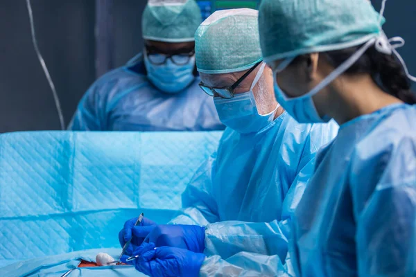 Multiracial team of professional medical surgeons performs the surgical operation in a modern hospital. Doctors are working to save the patient. Medicine, health, cardiology and transplantation. — Stock Photo, Image