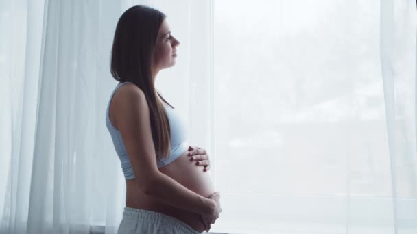 Ung gravid kvinna vilar hemma och väntar barn. Begreppet graviditet, moderskap, hälsa och livsstil. — Stockvideo